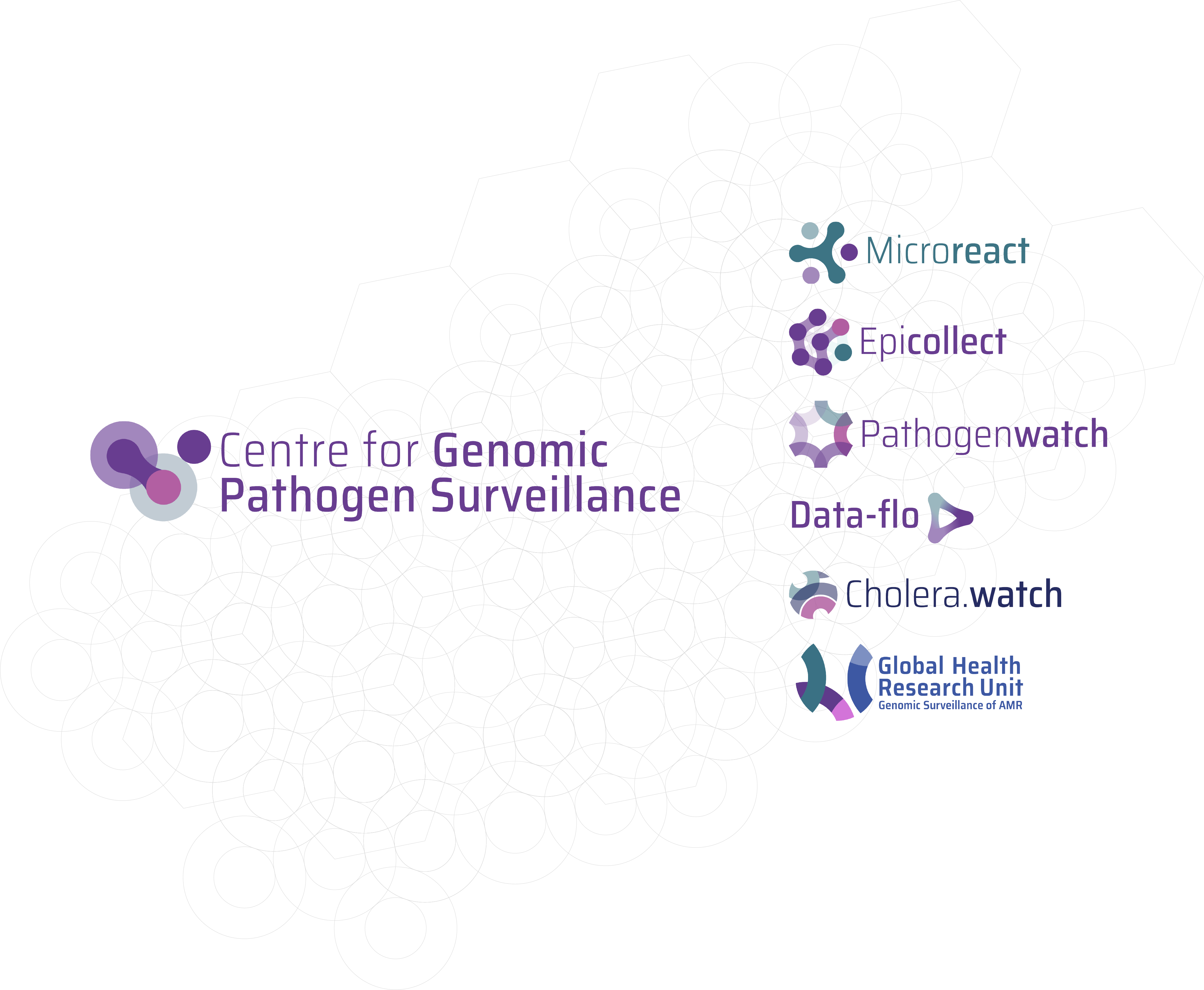 Branding Centre For Genomic Pathogen Surveillance Ali Molloy